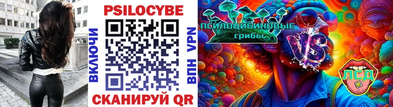 кракен как зайти  закладка  Одинцово  Псилоцибиновые грибы Psilocybine cubensis 