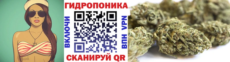купить  сайты  blacksprut ONION  Канабис план  Одинцово 